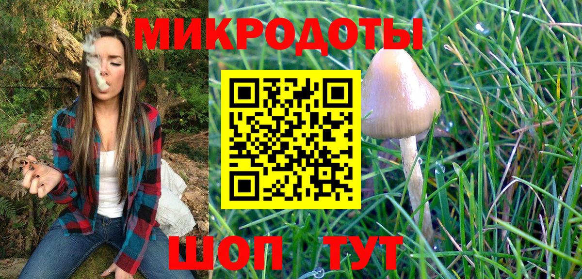 Псилоцибиновые грибы прущие грибы Хасавюрт